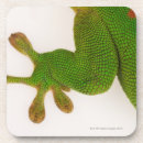 Search for bizarre barware Reptiles