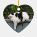 Search for fences christmas tree decorations Pets