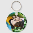 Search for parrot rounded key rings Blue