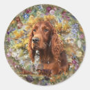 Search for bird dog stickers Hunting