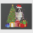 Search for border collie christmas wrapping paper Funny