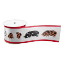 Search for pig ribbon Swine