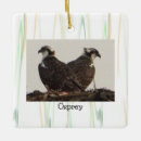 Search for osprey christmas tree decorations Birds
