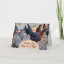 Search for coops cards Funny