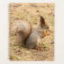 Search for nuts office supplies Nature