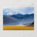Search for yellow snow postcards Mountain