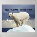 Search for polar climate posters Bear