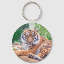 Search for predator key rings Tiger