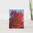 Search for fall note cards Orange
