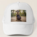 Search for hoop hats Funny