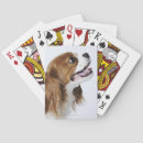 Search for cavalier king charles spaniel playing cards Animal