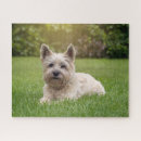 Search for west highland terrier puzzles Cute