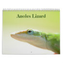 Search for lizard calendars Gecko