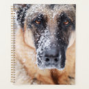 Search for winter office supplies Puppy