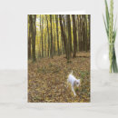 Search for running bandanas Sympathy