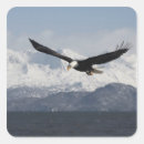 Search for flying eagle stickers Haliaeetus