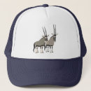 Search for pair hats Cute