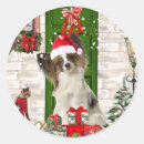 Search for papillon stickers Pet