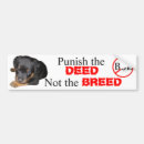 Search for legislation bumper stickers Breed specific legislation