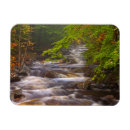 Search for appalachian magnets Autumn