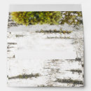 Search for textured envelopes Rustic