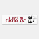 Search for i love cats bumper stickers Cute