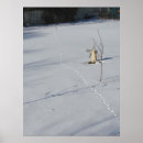 Search for animal tracks posters Nature