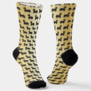 Search for sausage socks Dog