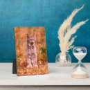 Search for hunt plaques Forest