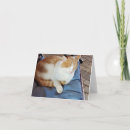 Search for ginger cat cards Fluffy