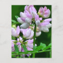 Search for bud postcards Nature