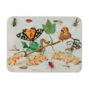 Search for jan magnets Butterfly