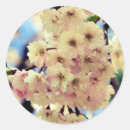 Search for blossom stickers Nature