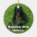 Search for poacher Endangered