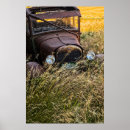Search for backcountry posters Colour