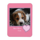 Search for dog magnets Heart