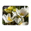 Search for flower blessings rectangular magnets Easter