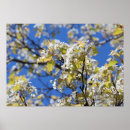 Search for photography canvas art Floral