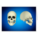 Search for eye socket Osteology