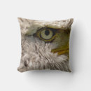 Search for eagle cushions Animal