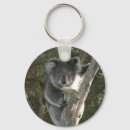 Search for koala key rings Wildlife