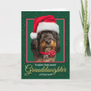 Search for bernedoodle cards Funny