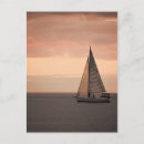 Search for sunset sailing postcards Adventure