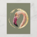 Search for watercolor bird postcards Tropical