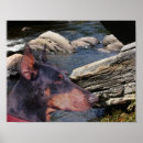 Search for doberman art Pet