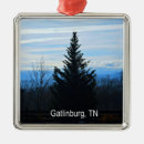 Search for smoky mountain christmas tree decorations Mountains