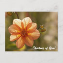 Search for beautiful blossom postcards Green
