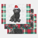 Search for labradoodle wrapping paper Dogs