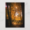 Search for trails postcards Kentucky