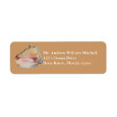 Search for shell labels Pink